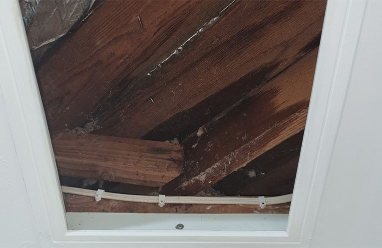 Residents urged to be aware of mould impacts after floods
