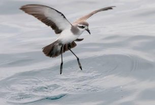 Stinker’s Fishin’: More to fishing that catching fish