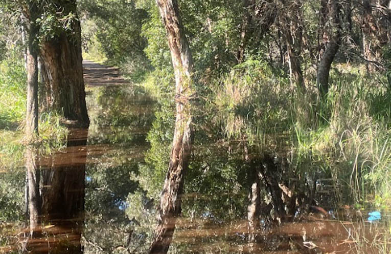 Flood clean-up efforts continue in Port Stephens
