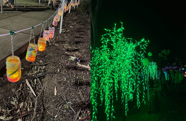 Raymond Terrace lights up for Illuminate Festival