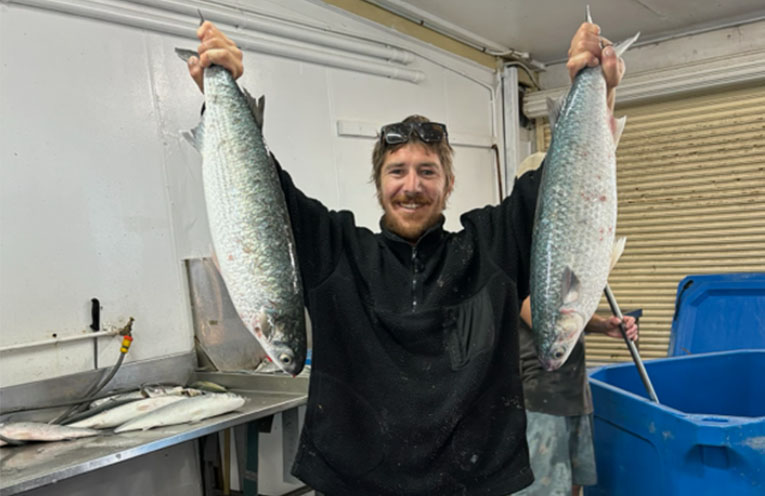 Stinker’s Fishin’: Monster mullet