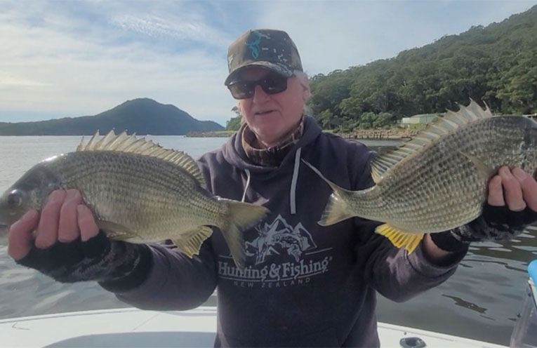 Stinker’s Fishin’: Port full of bream