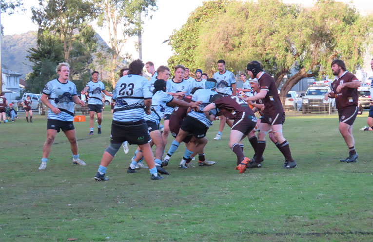 Nelson Bay Gropers outclass rugby rivals Cooks Hill