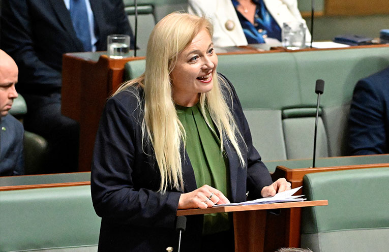 ‘The physical scars are there for all to see’: floods the focus of Penfold’s maiden speech
