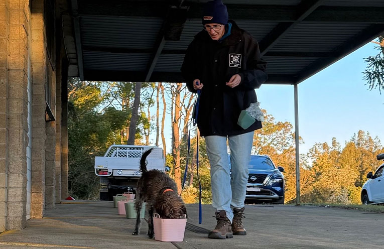 Port Stephens Dog Training Club bringing community and canines together
