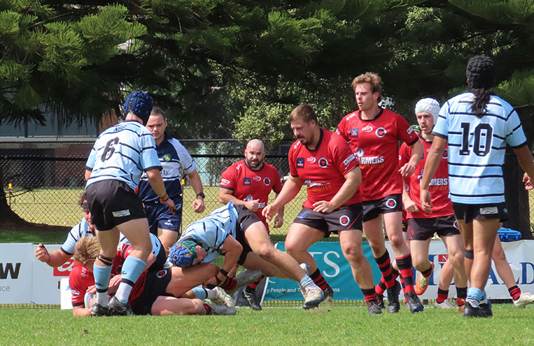 Heartbreaking loss for Nelson Bay Gropers in rugby finals