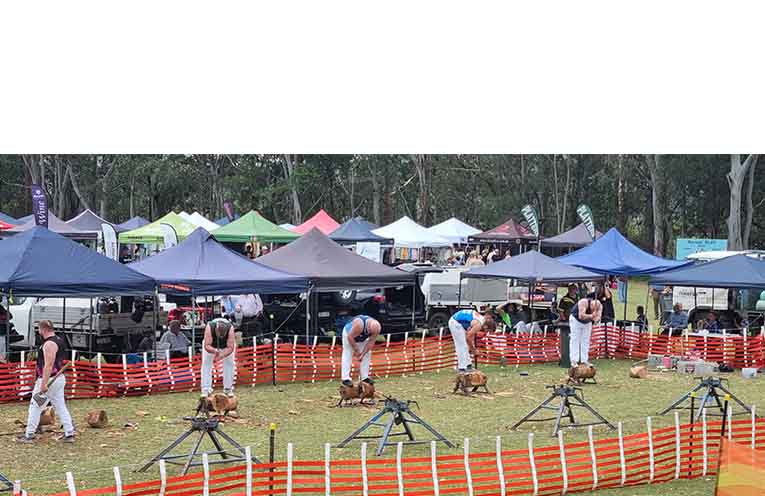 The woodchop competition was a centrepiece of the event. Photo: Thomas O’Keefe.