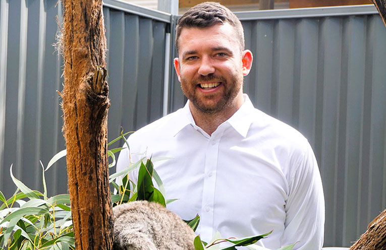 Community-built koala corridor deemed a success as wildlife returns
