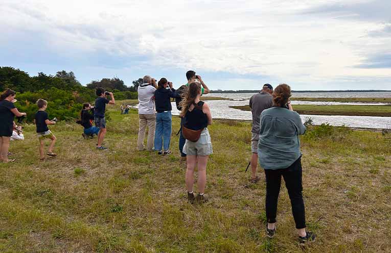 Workshops inspire action to protect Hunter’s shorebirds