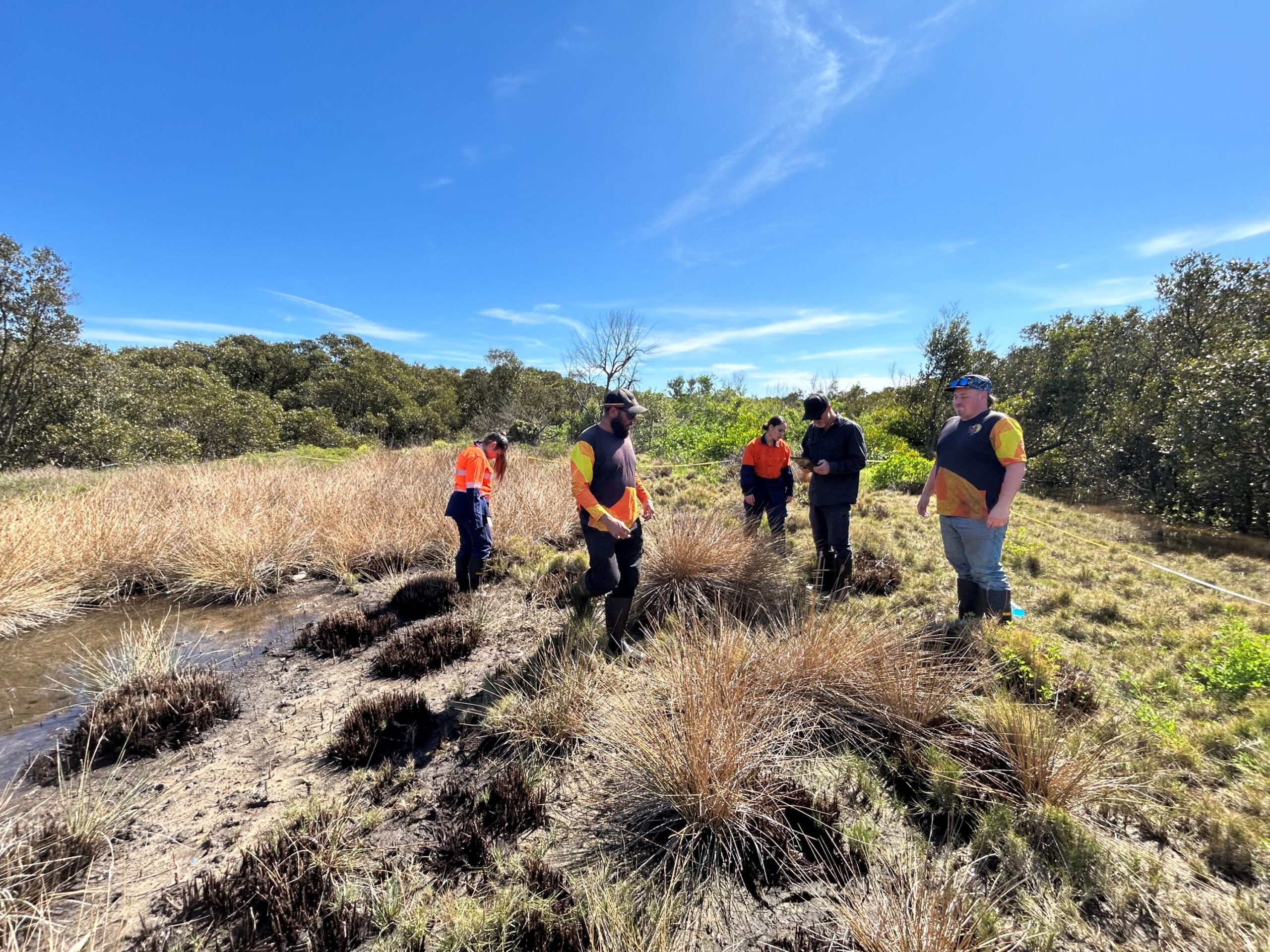 Rangers protecting internationally significant wetlands