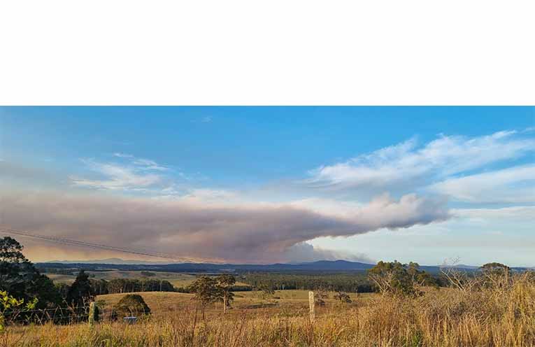 The smoke clouds as the fire began. Photo: Thomas O’Keefe.