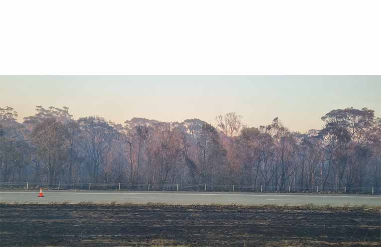 The blackened median and verge forest along the Pacific Highway north of Nerong after a long night of firefighting. Photo: Thomas O’Keefe.
