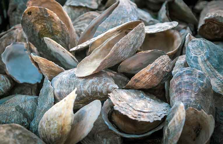 $20 million to grow state’s aquaculture industry