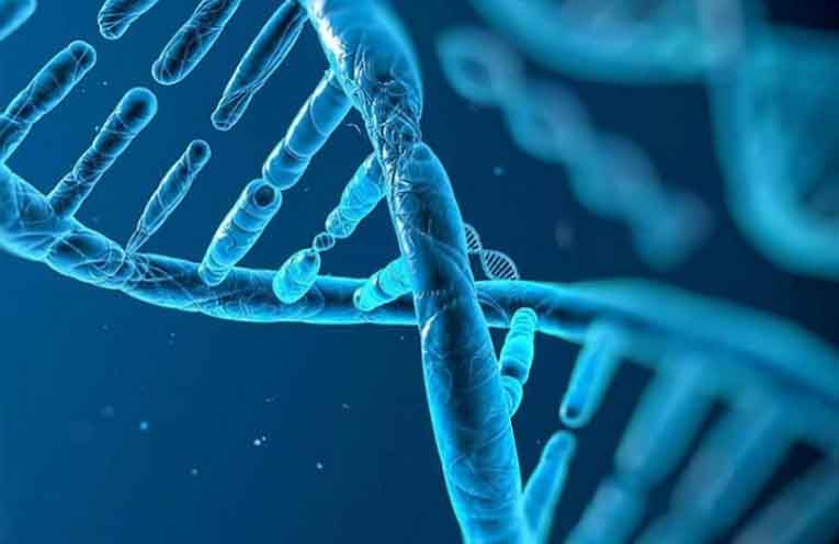 New gene-mapping method unlocks hidden drivers of cancer