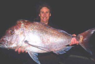 Stinker’s Fishin’: giant snapper