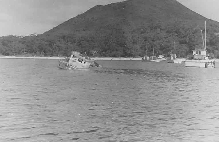 Stinker’s History: the fate of the Italia Star