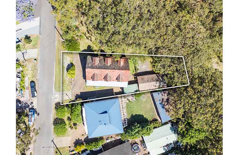 PROP_Salamander Wanda(2)