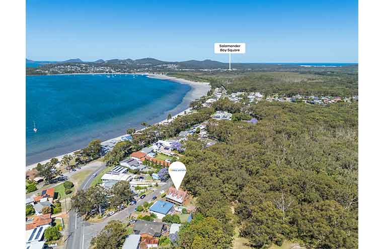 PROP_Salamander Wanda(3)