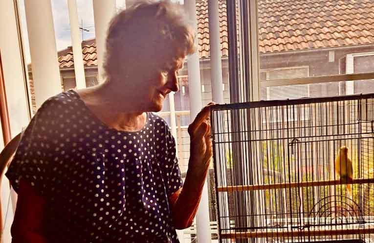 Guinness the budgie safe at home after pub crawl cut short