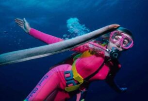 An underwater life explored at Tomaree Headland
