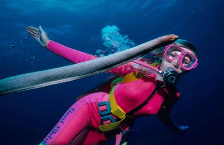 An underwater life explored at Tomaree Headland