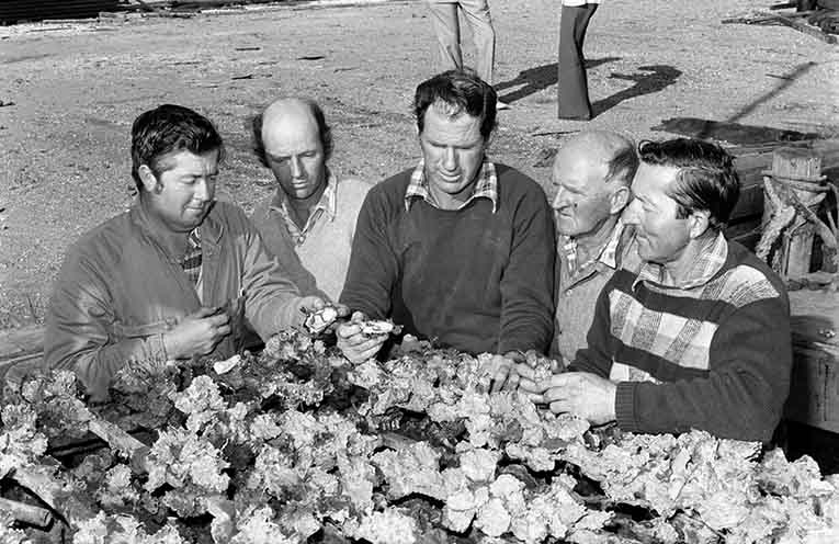 Stinker’s History: The growers of Tilligerry Creek