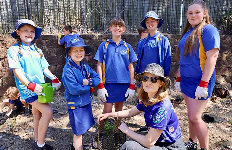 Students get hands-on saving rare threatened plant at Tomaree