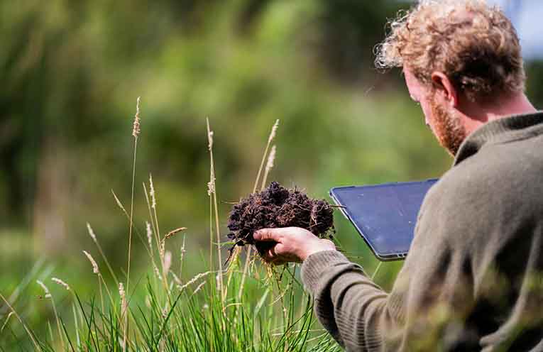 Practical insights for producers across the Hunter