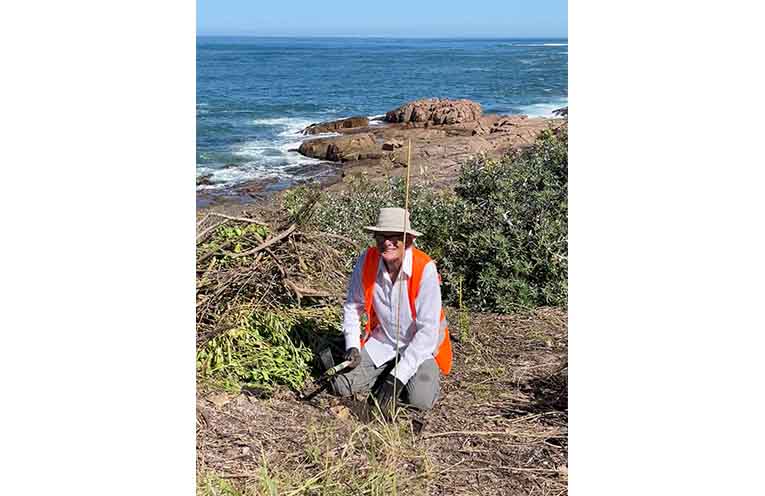 Bruce clearing Bitou Bush ready for planting.