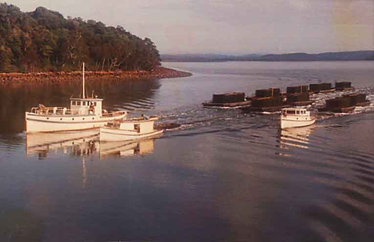 Stinker’s History: Port Stephens boat register