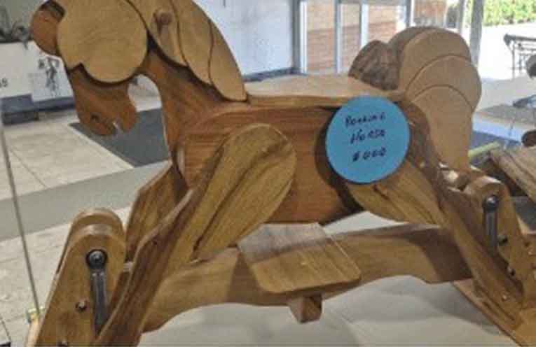 Raymond Terrace initiative earns national nod for helping families at Christmas