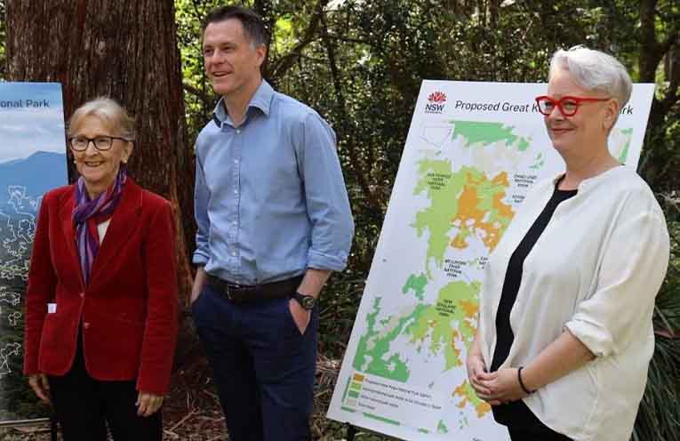 Forest industry future under review as NSW maps logging reform