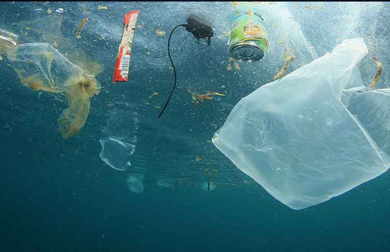 Environmental organisations unite in Raymond Terrace over marine debris