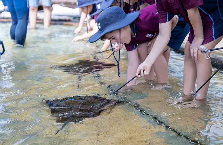 Would you step into the water with sharks at age six? These kids did
