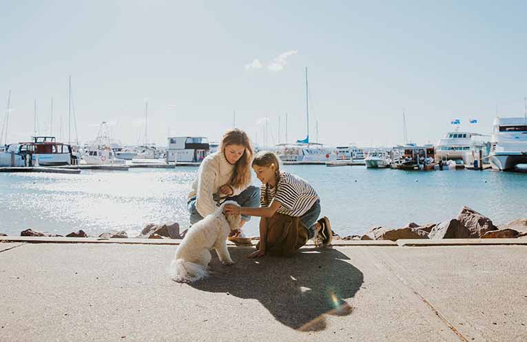 New Dogs in Public Places Plan seeks community feedback to balance dog friendly areas and safety