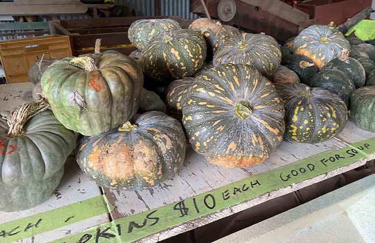 Local Medowie farmers a fresh option