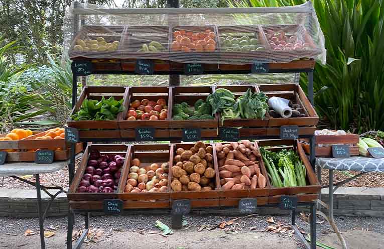 Fresh fruit and vegetables displayed at Tomatoes at Abundance in Medowie.