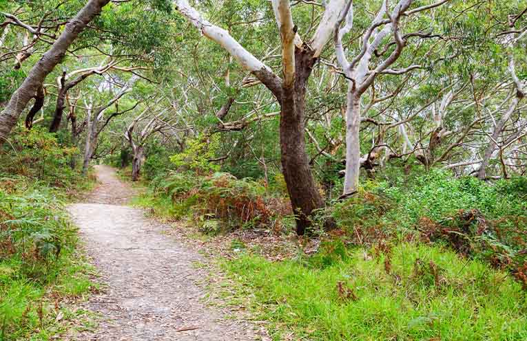 National parks funding boost welcomed across Hunter and MidCoast regions