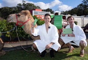 Medowie Coles receives its first-ever camel delivery
