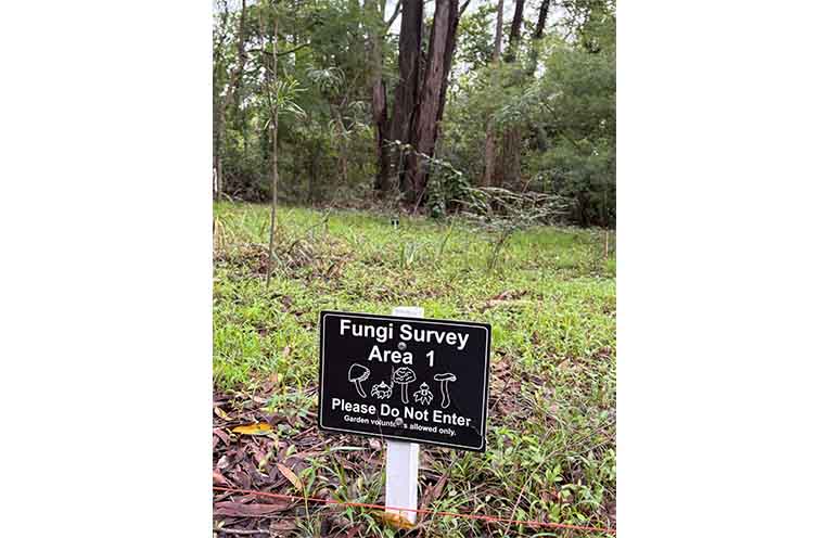 The fungi project is expected to reveal hundreds of Hunter Region fungal species that are currently undocumented. Photo: Supplied.