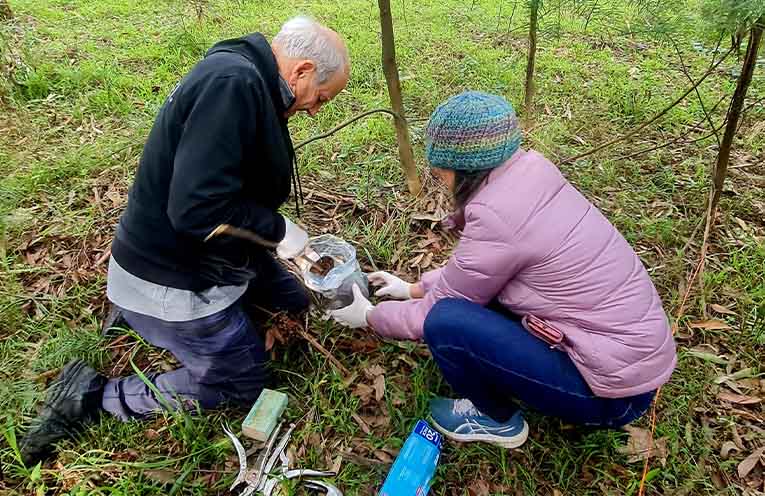Professor Tim Roberts and volunteer Louise Watterson soil sampling to compare DNA and understand how healthy ecosystems function. Photo: Supplied.