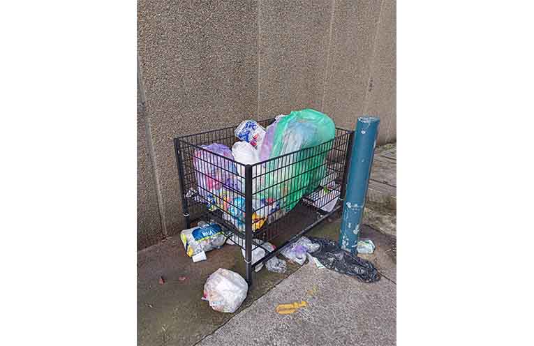 The discarded plastics seen dumped behind Woolworths Raymond Terrace.