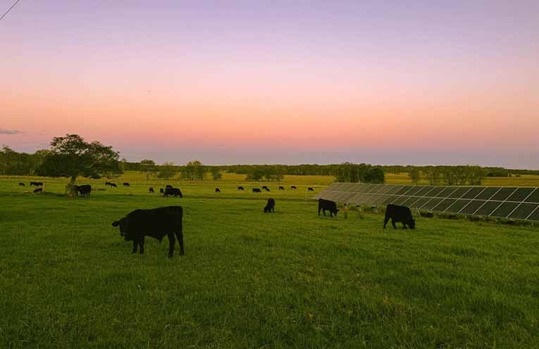 One acre of land on the farm might be turned into a free, inclusive community space. Photo: Redgate Farm Seaham.