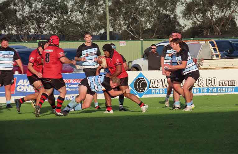 Nelson Bay Gropers down Singleton Bulls in top of the table clash