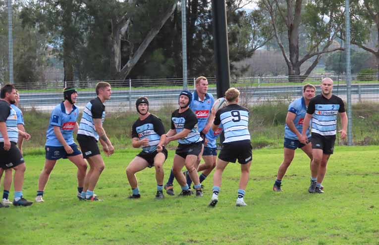 Undermanned Nelson Bay Gropers show grit and spirit during 33-8 loss to Scone