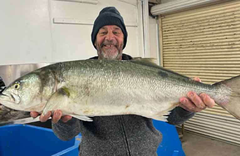 Commercial fisherman Greg Tarrant with monster tailor caught at Fingal Bay
