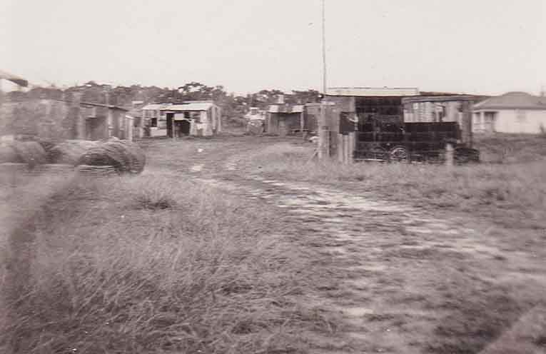 Stinker’s History: The Barry’s Part One