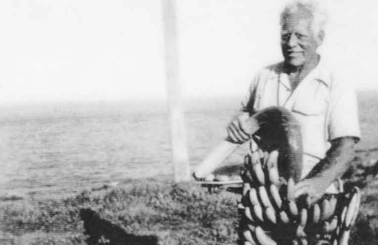 Life as a Port Stephens fisherman during WWII