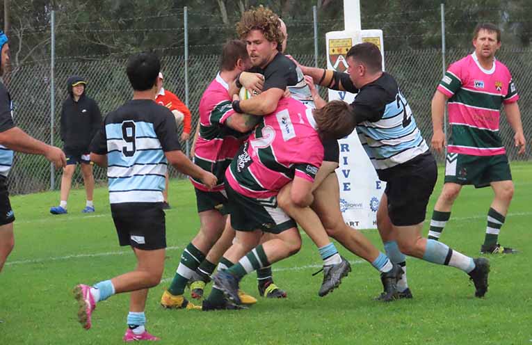 Nelson Bay Gropers storm to 29-22 triumph over Muswellbrook