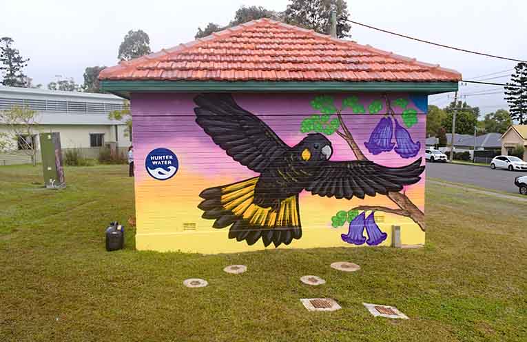 Hunter Water provided the space for the mural. Photo: Nico Lombardo.